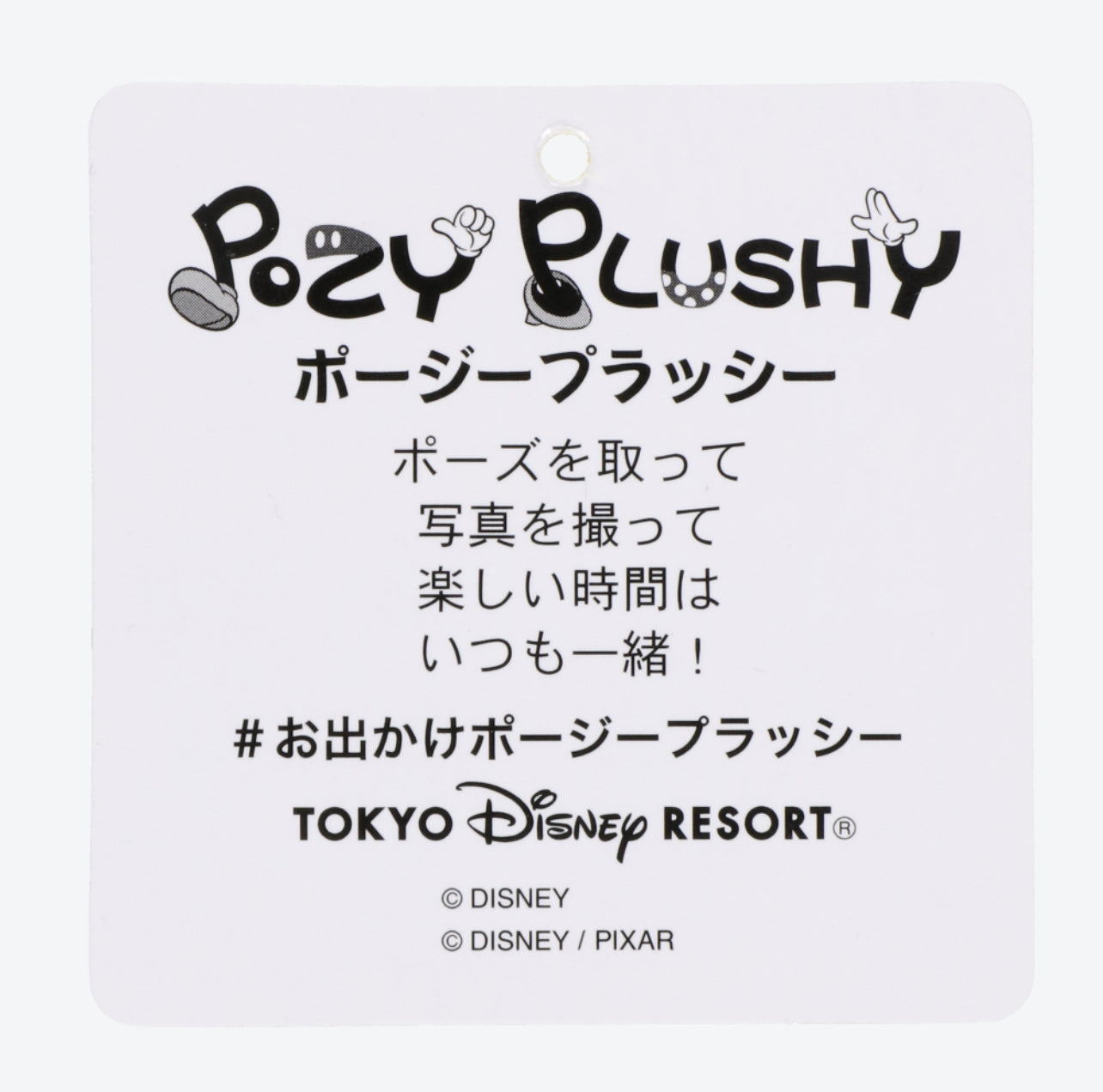 Tokyo Disney toy story buzz light-year Pozey plush