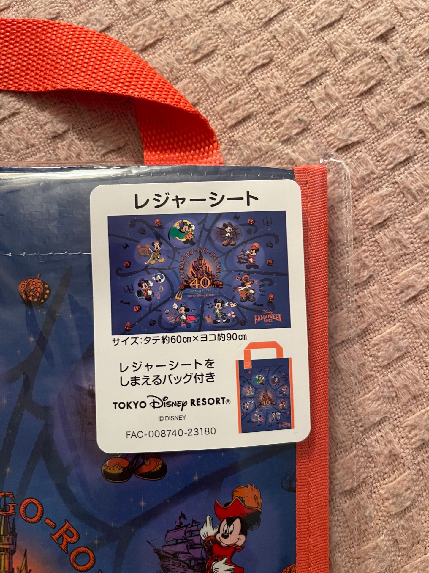 Tokyo Disney Halloween picnic mat