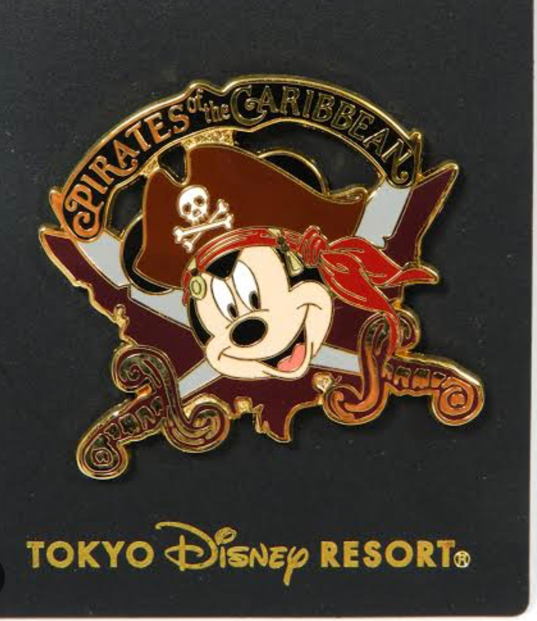 Tokyo Disney rides pin