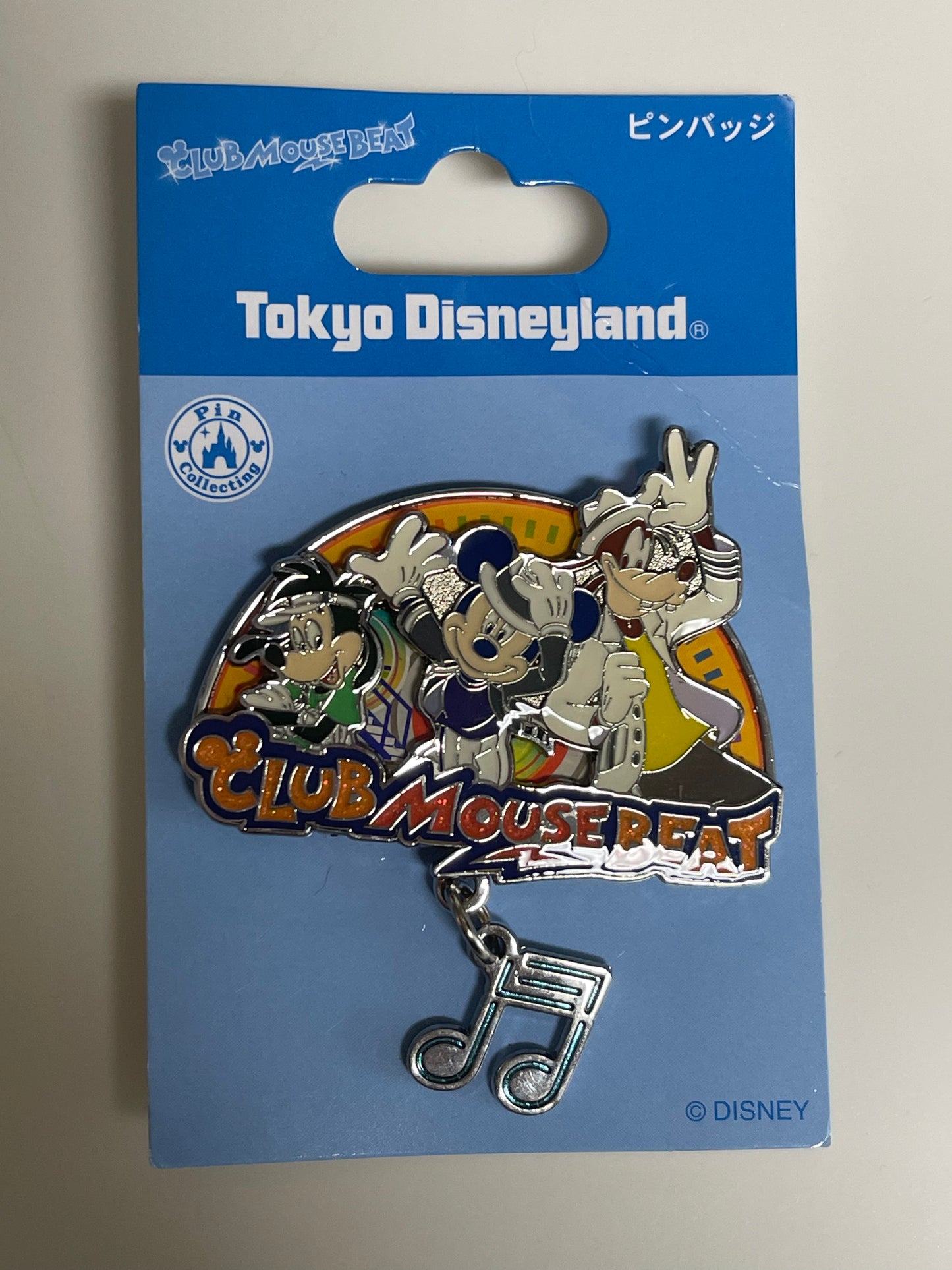 Tokyo Disney rides pin