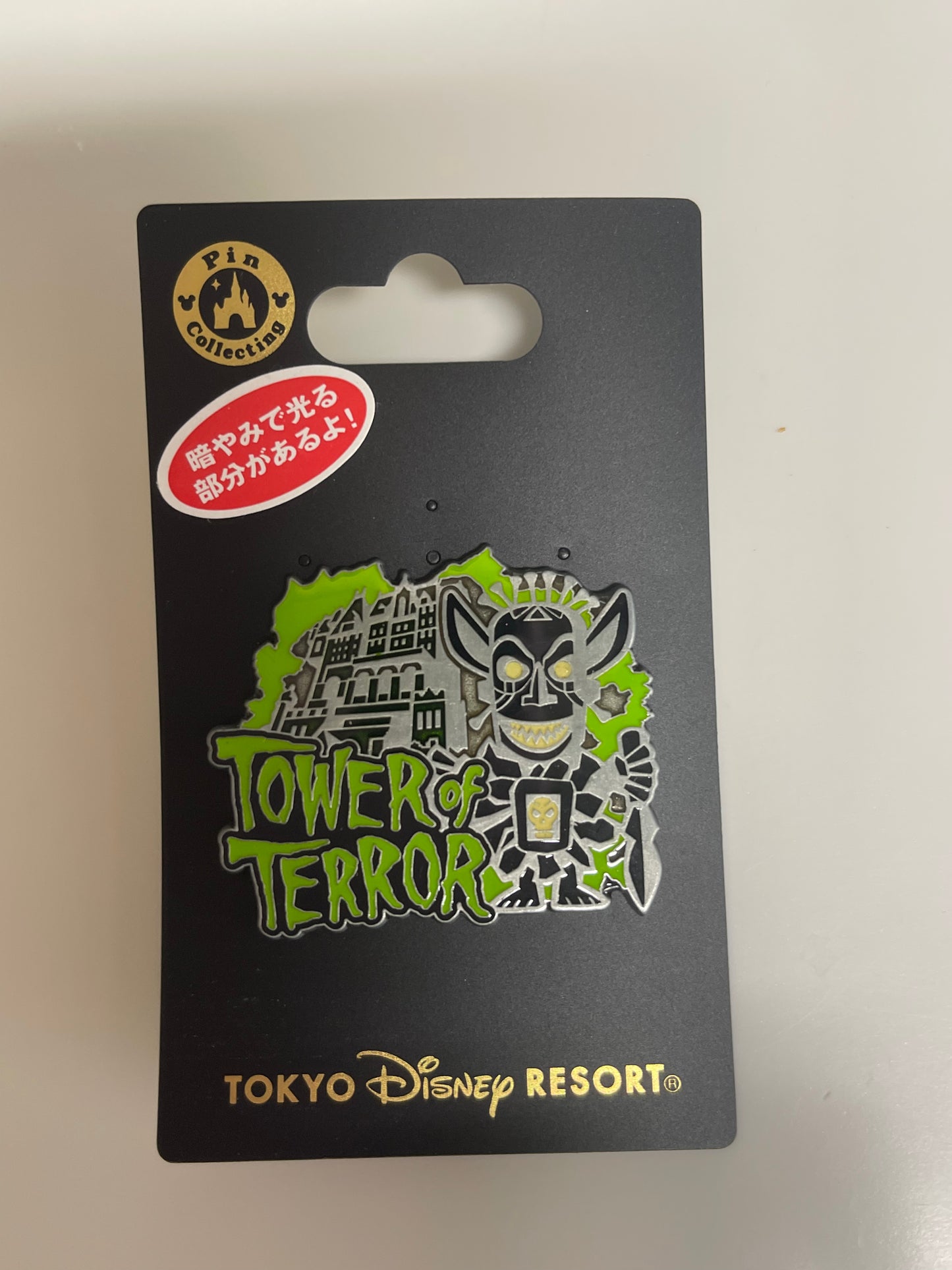 Tokyo Disney rides pin